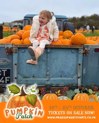 Heads of Ayr Pumpkin Patch